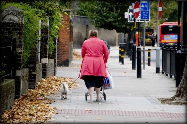 And there was another Westie in the cart